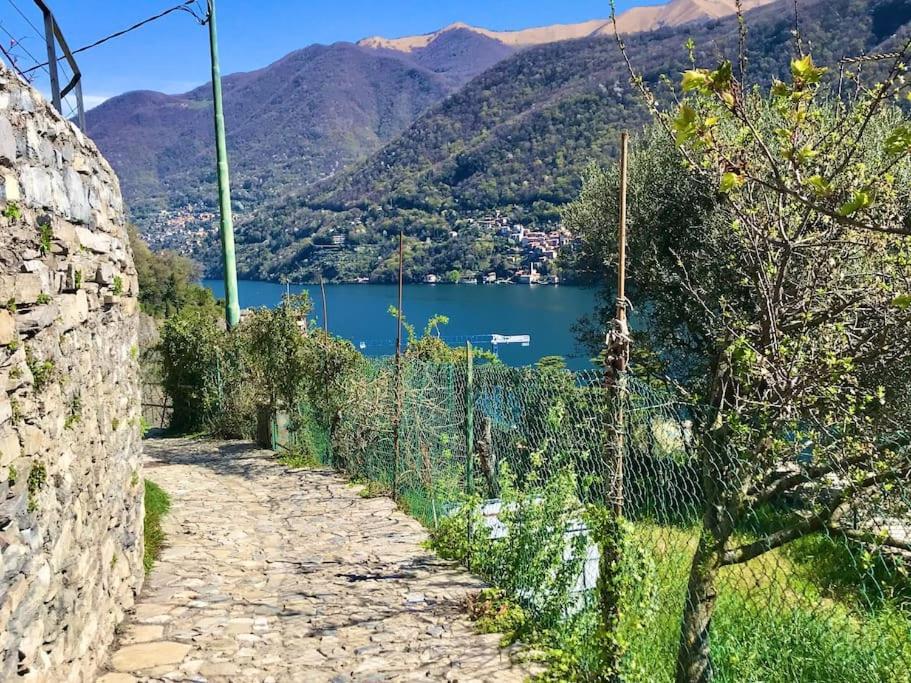 Romantic Home Stone With Amazing View Lake Of Como And Oleandra Laglio Kültér fotó