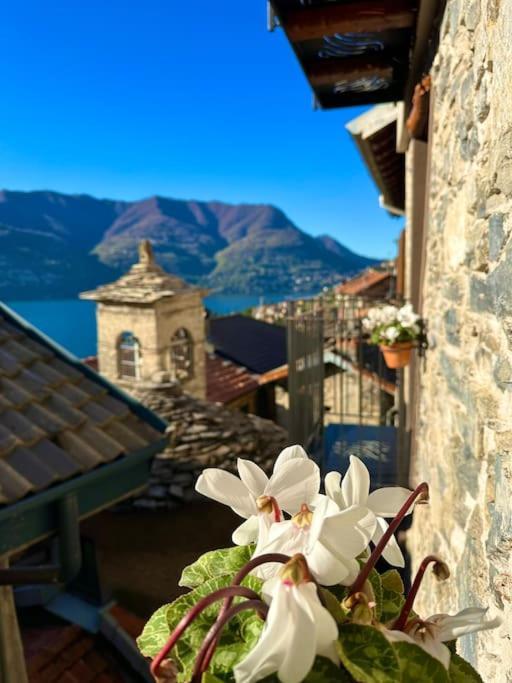 Romantic Home Stone With Amazing View Lake Of Como And Oleandra Laglio Kültér fotó
